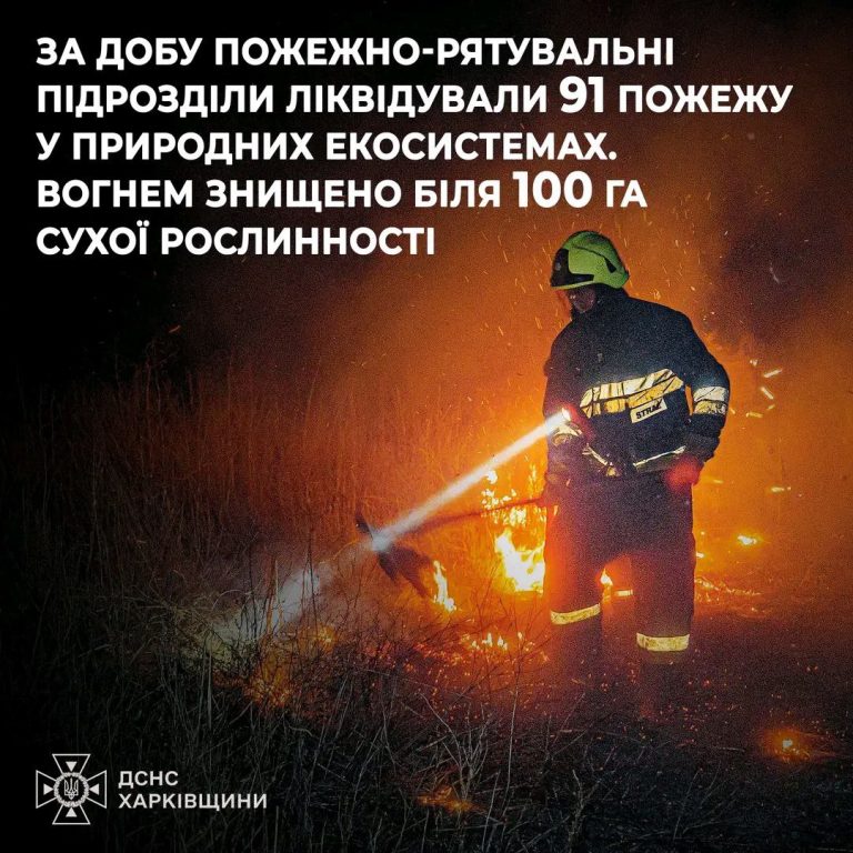 За добу пожежно-рятувальні підрозділи ліквідували 91 пожежу у природних екосистемах