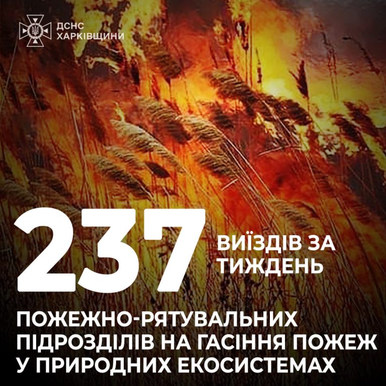 237 Виїздів за тиждень пожежно-рятувальних підрозділів на гасіння пожеж у природних екосистемах