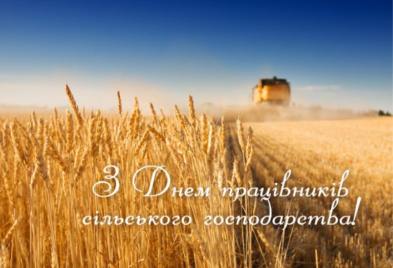Зелений комбайн їде по пшеничному полю під час збирання врожаю.