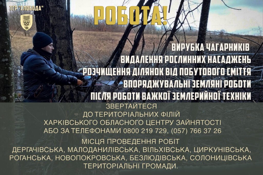Людина в чорній шапці та куртці працює з технікою на лісосзі у полі під час виконання робіт, спрямованих на вирубку чагарників, видалення рослинних насаджень, розчищення ділянок від побутового сміття та впоряджувальні земляні роботи.